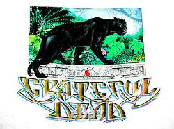 Grateful Dead Shirt T Shirt Vintage 1989 Rainforest Panther Leaves Mikio GDM L