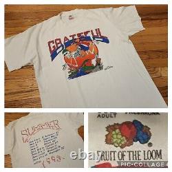 Vintage 90's Grateful Dead Single Stitch Summer 93 Tour T Shirt (Sz XL)