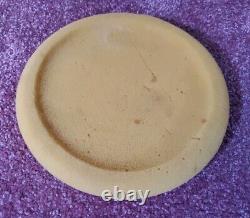 Vintage Stanford Frost Ampitheater Grateful Dead Foam Frisbee Flaws Rare