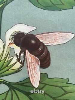 Vintage WHITE NETTLE school chart JUNG KOCH QUENTELL BOTANICAL dead nettle bee