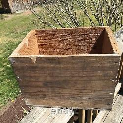 Vintage Wooden Advertising Box Dead Stuck For Bugs Crate