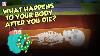 What Happens To Your Body After You Die Human Biology The Dr Binocs Show Peekaboo Kidz